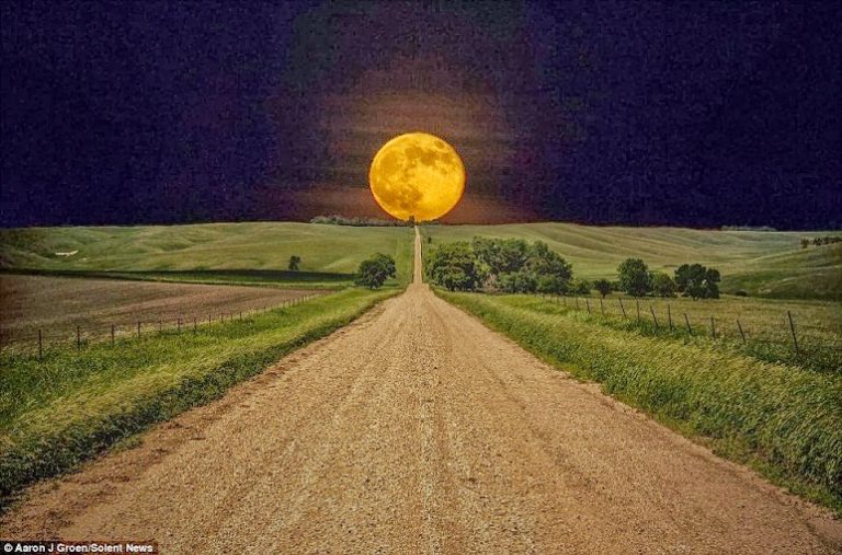 Don’t Look Back