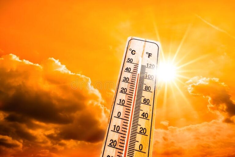 Whew! It Is So Hot!!